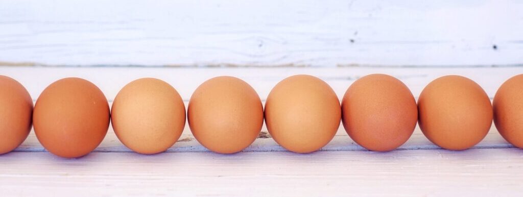 La guía esencial para criar gallinas libres y comer huevos deliciosos