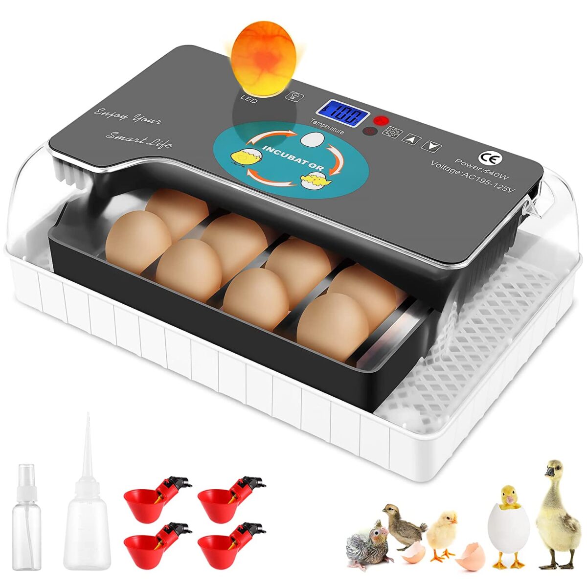 5. Incubadora automática de12 huevos