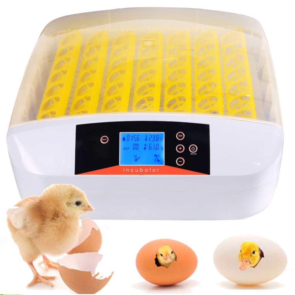 Eloklem incubadora para 56 huevos. Automática