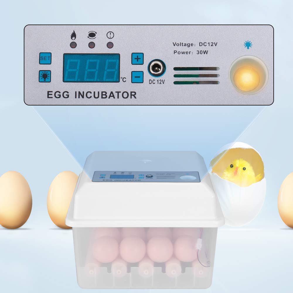 7. Incubadora de huevos TTLIFE